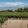 Terrazas de los Andes