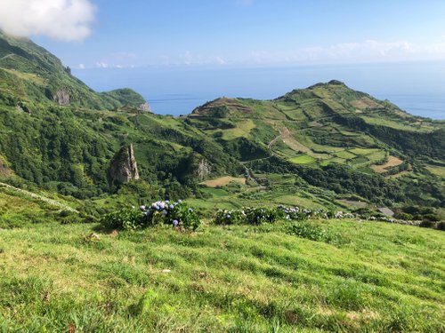 The 15 Best Things To Do In Flores - 2022 (with Photos) - Tripadvisor