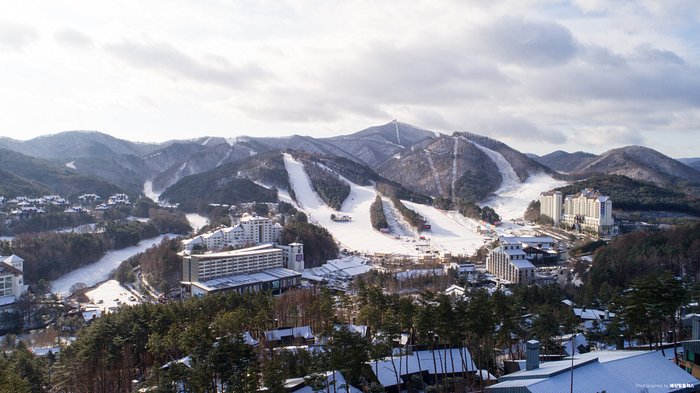 YONGPYONG RESORT DRAGON VALLEY HOTEL - Updated 2023 Prices & Reviews  (Pyeongchang-gun, South Korea)