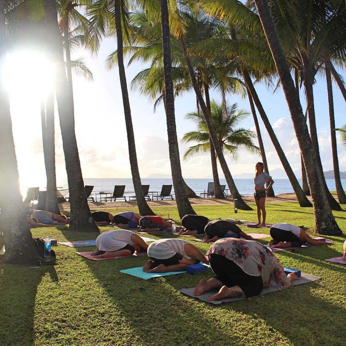 Beim Palm Yoga