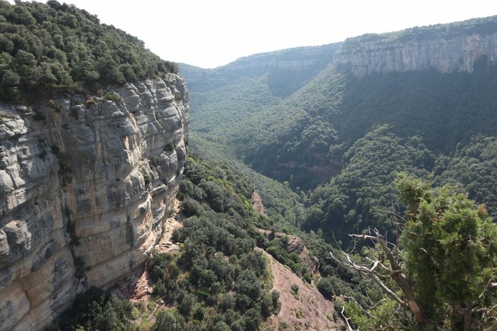 Imagen 6 de Morro De L'abella