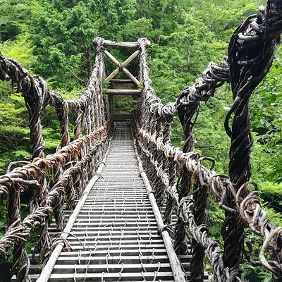 德岛县最佳景点玩乐 Tripadvisor 德岛县最佳景点玩乐 Tripadvisor