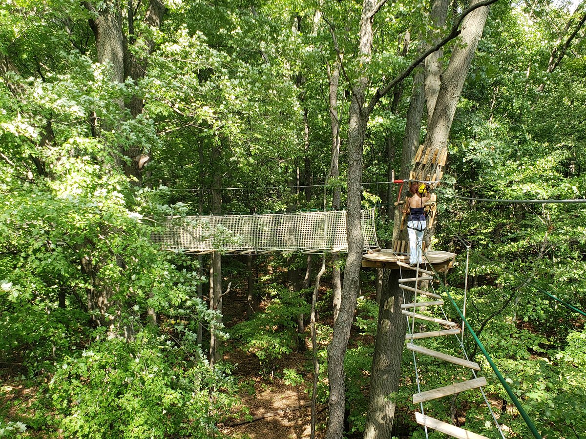 Go Ape Treetop Adventure Course (2025) All You Need to Know BEFORE Go Ape Treetop Adventure Course (2025) All You Need to Know BEFORE