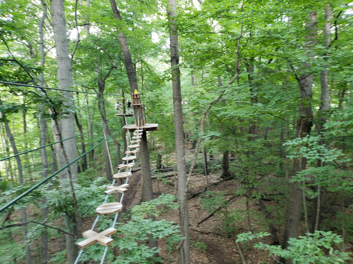 GO APE TREETOP ADVENTURE COURSE (Shelby Township) 2023 Qué saber