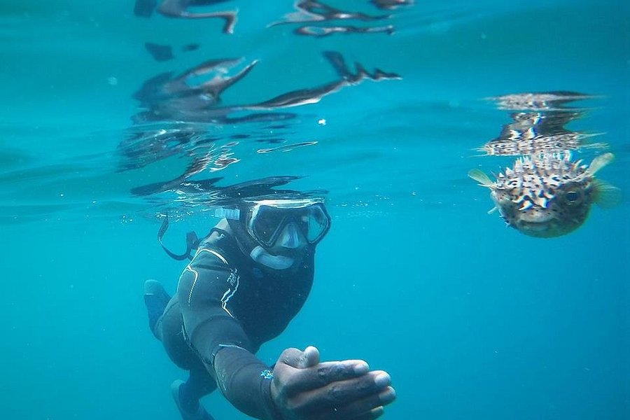 Snorkeling Sao Tome e Principe image