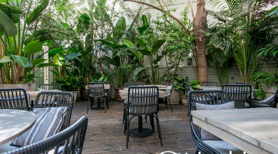 Patio at the Hotel Pulitzer