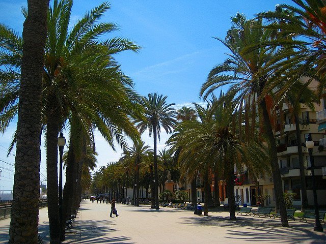 Imagen 1 de Rambla de Badalona