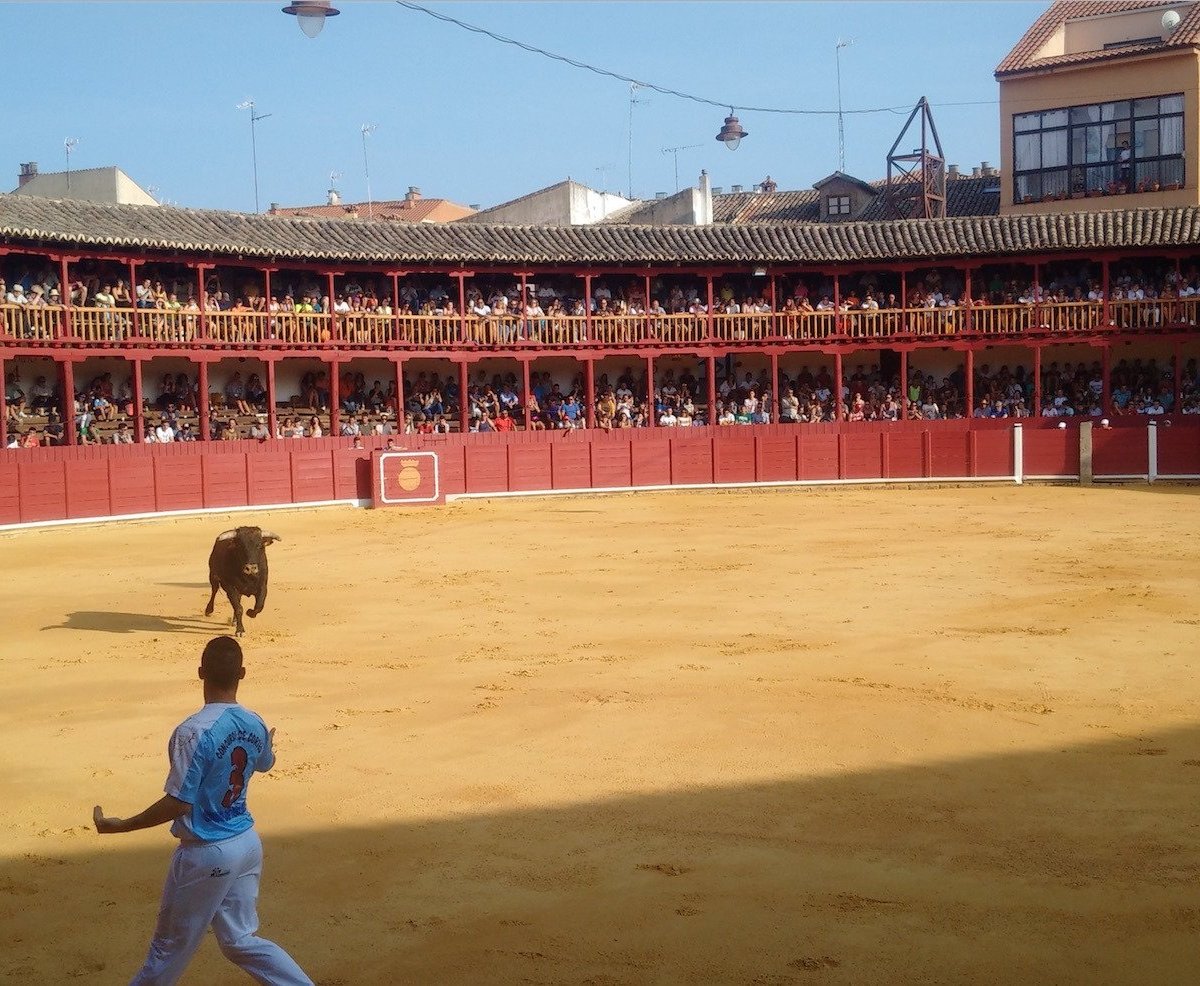 Plaza de Toros, Торо: лучшие советы перед посещением - Tripadvisor