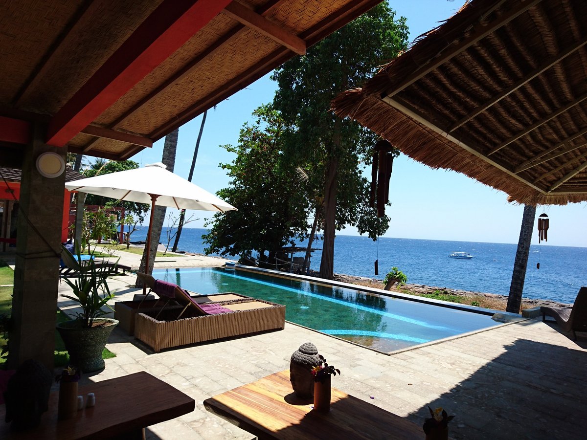 BAC Diving and Health Resort Restaurant: Pictures & Reviews - Tripadvisor