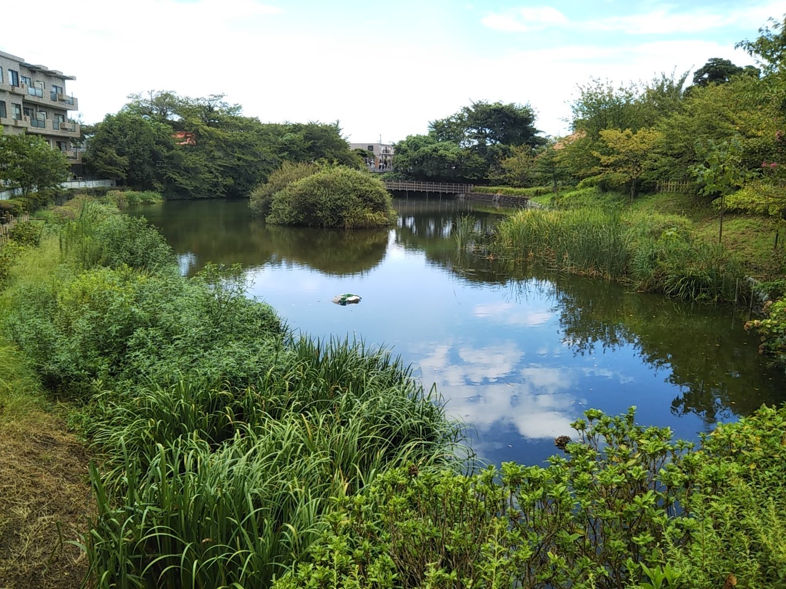 hakojima_gensui2_31850efe-466c