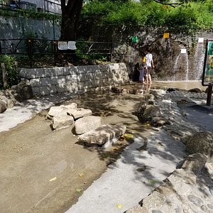 渋谷区の公園 自然 ベスト10 トリップアドバイザー