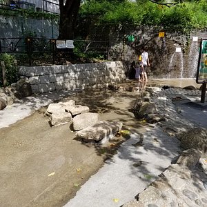 渋谷区の公園 自然 ベスト10 トリップアドバイザー 渋谷区の公園 自然 ベスト10 トリップアドバイザー