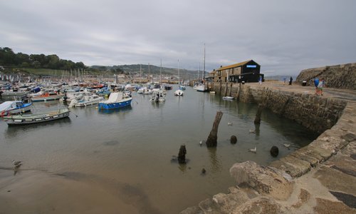 On the Cobb