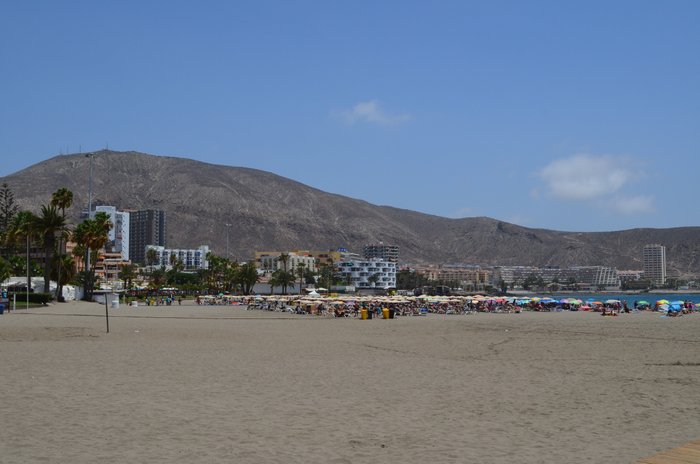 Imagen 5 de Port of Los Cristianos