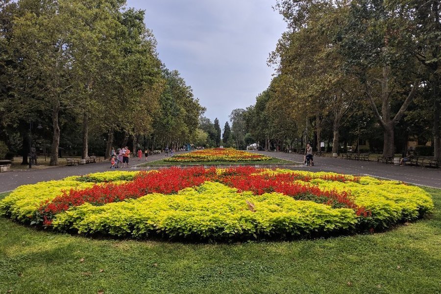 Sea Garden image
