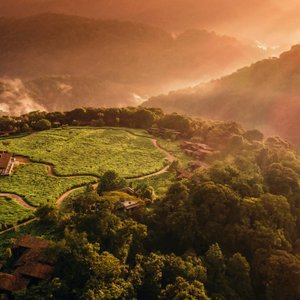 One&Only Nyungwe House - Top View