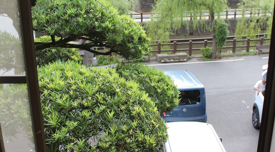 小野川が正面に。とてもいい感じです。