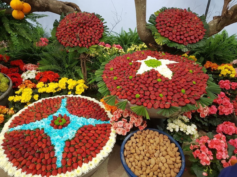 FESTIVAL DE MORANGO COM ENTRADA GRATUITA VAI ACONTECER EM SP