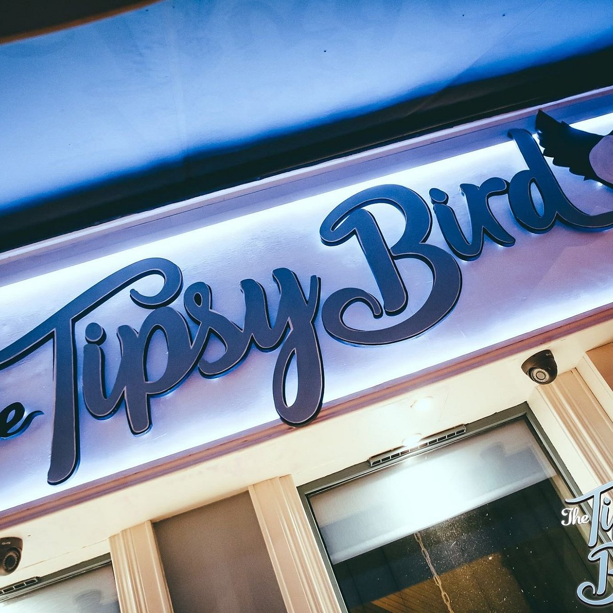 TIPSY BIRD (2024) All You Need to Know BEFORE You Go (with Photos)