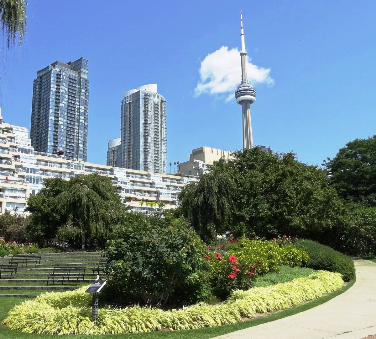 Toronto Music Garden, Торонто: лучшие советы перед посещением - Tripadvisor