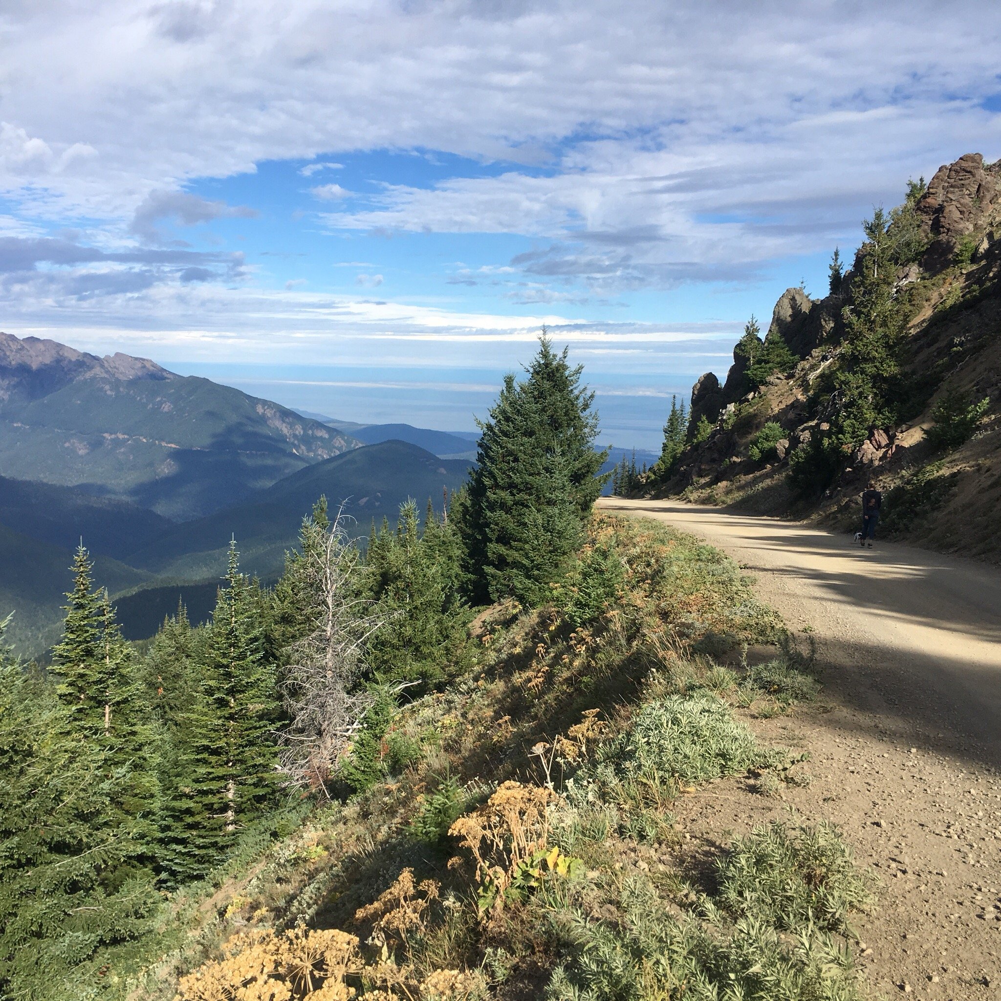 DEER PARK CAMPGROUND Reviews Olympic National Park WA