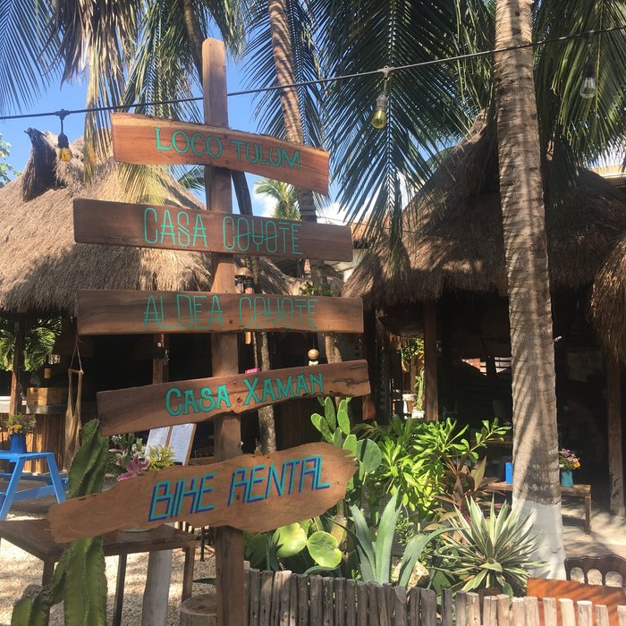 CASA COYOTE TULUM - Updated 2024 Prices & Guest house Reviews (Mexico)