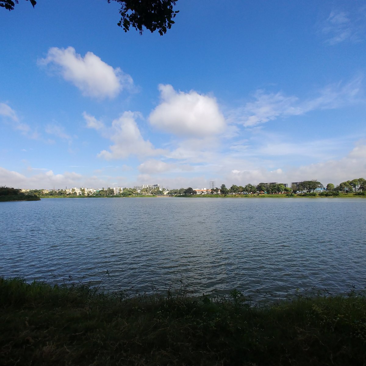 Agara Lake (Bengaluru) - All You Need to Know BEFORE You Go