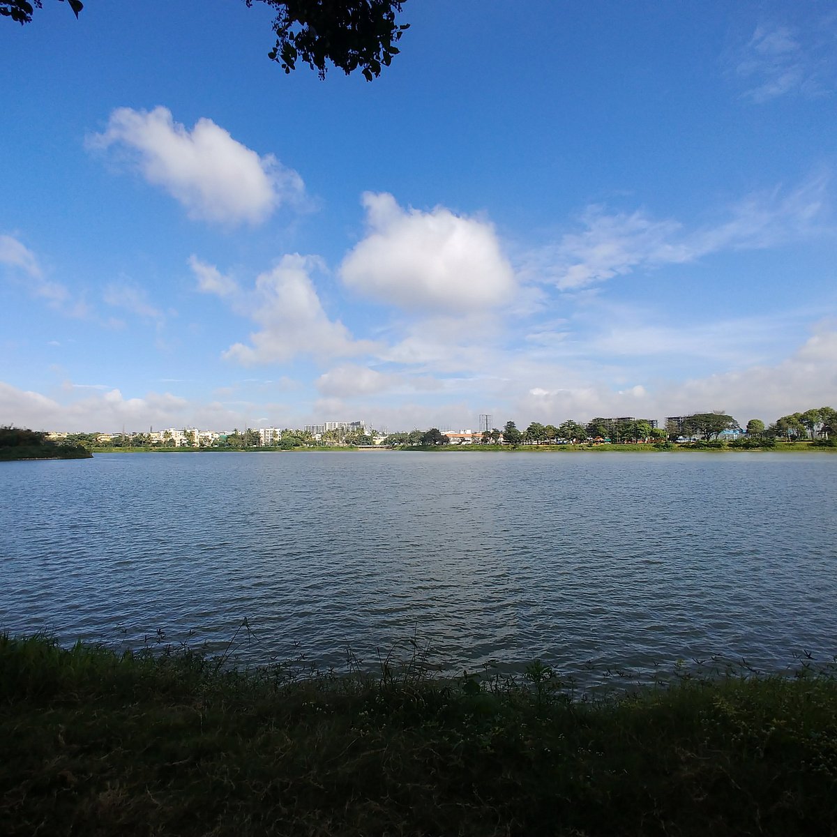 Agara Lake (Bengaluru) - All You Need to Know BEFORE You Go