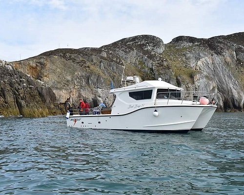 anglesey boat fishing trips
