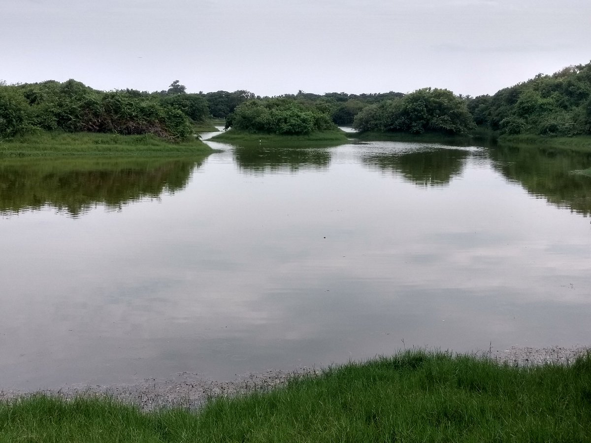 Adyar Poonga River Restoration Park (Chennai (Madras)) - All You Need ...