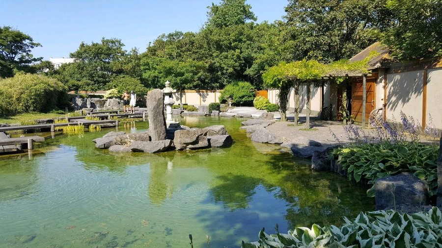 Jardin japonais