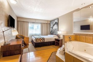 Room & Suite