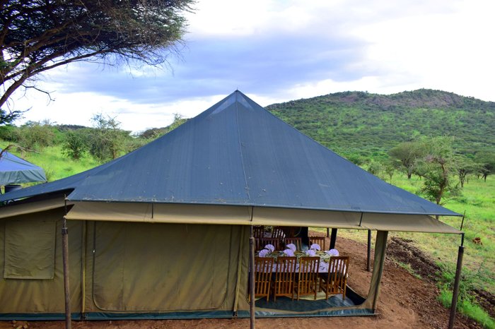 PEMBEZONI CAMP (SEASONAL CAMP) - Campground Reviews (Serengeti National  Park, Tanzania)