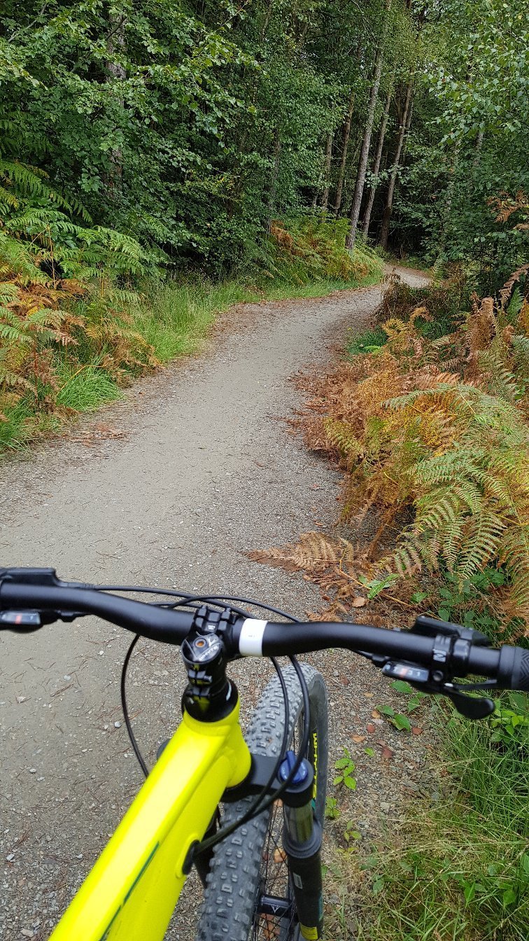 Lanhydrock bike trails hot sale