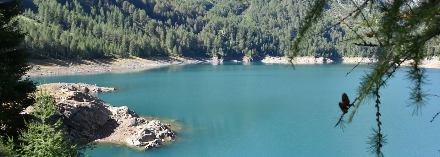 Lago di Pian Palù