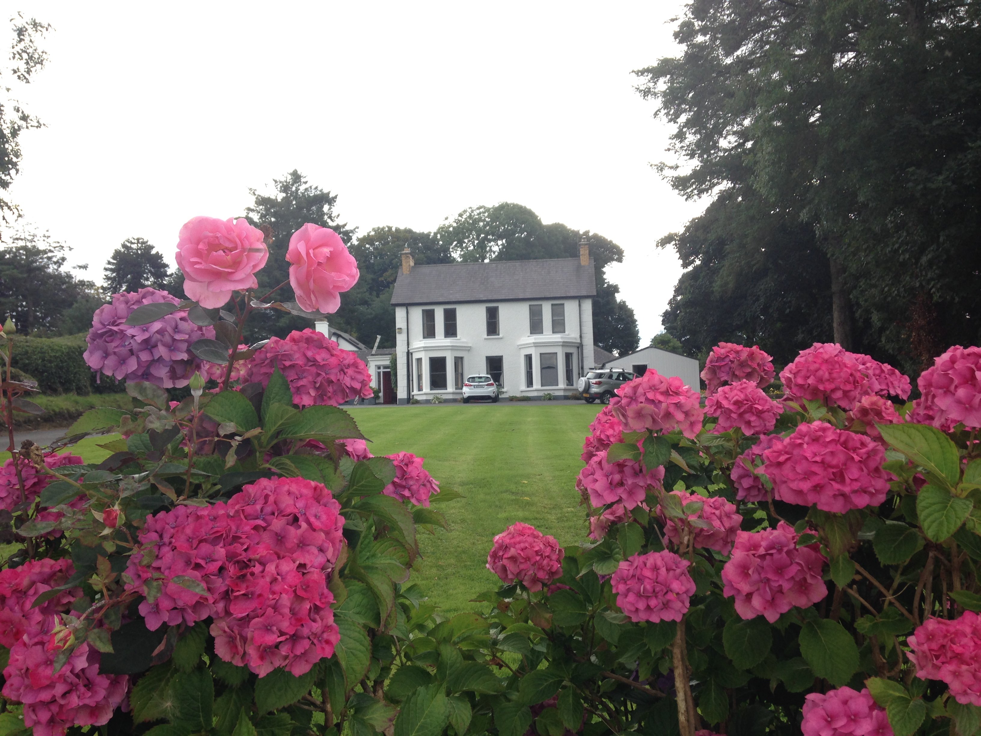 ARDEEN HOUSE - Prices & B&B Reviews (Ramelton, Ireland - County Donegal)