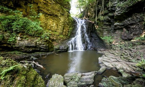 Hareshaw Linn Walk