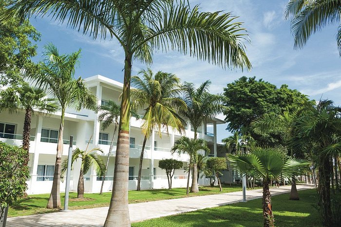 Hotel Riu Playacar (Playa del Carmen, Mexique) : tarifs 2024 et 332 avis