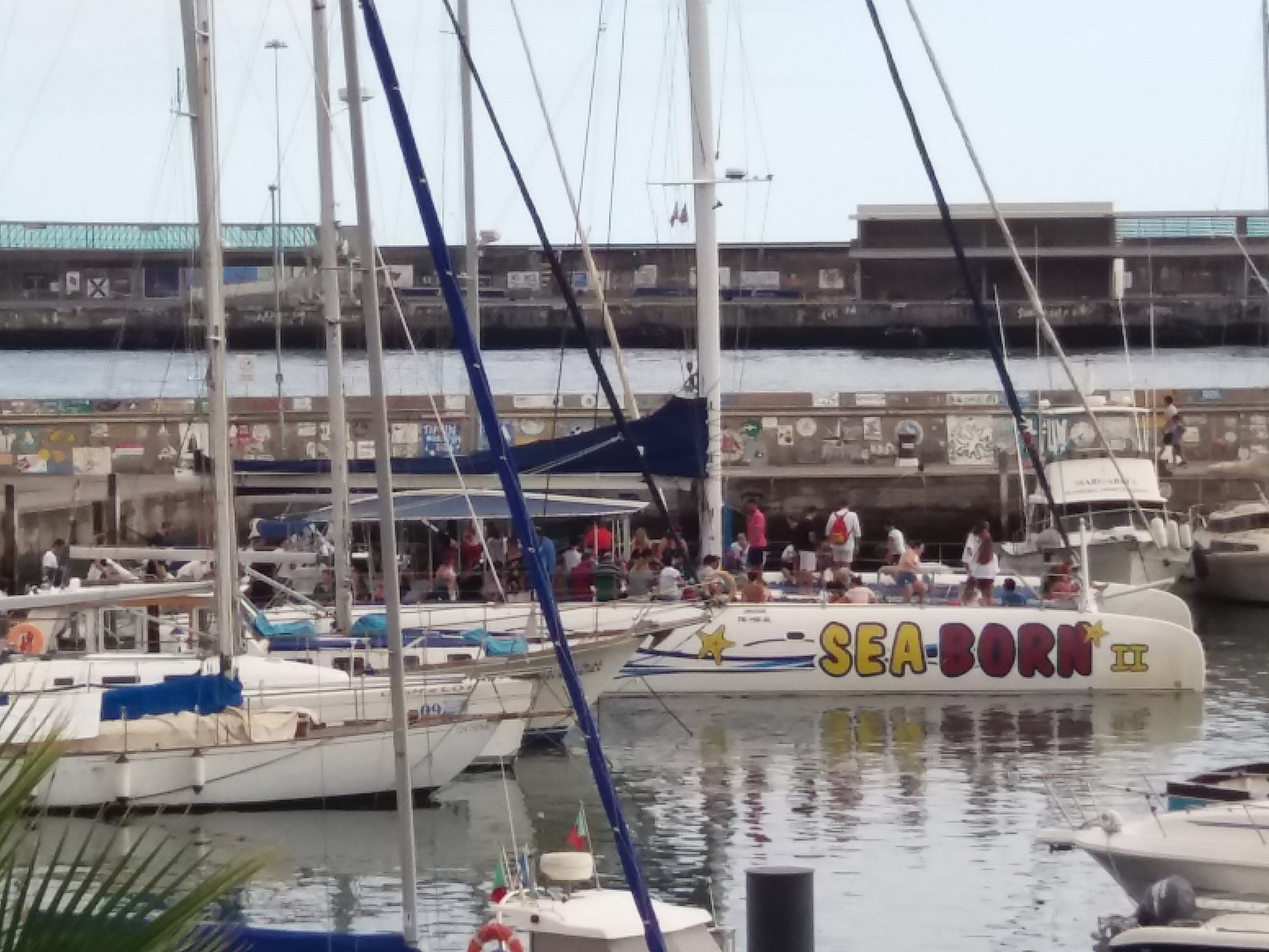 seaborn catamaran office at funchal marina