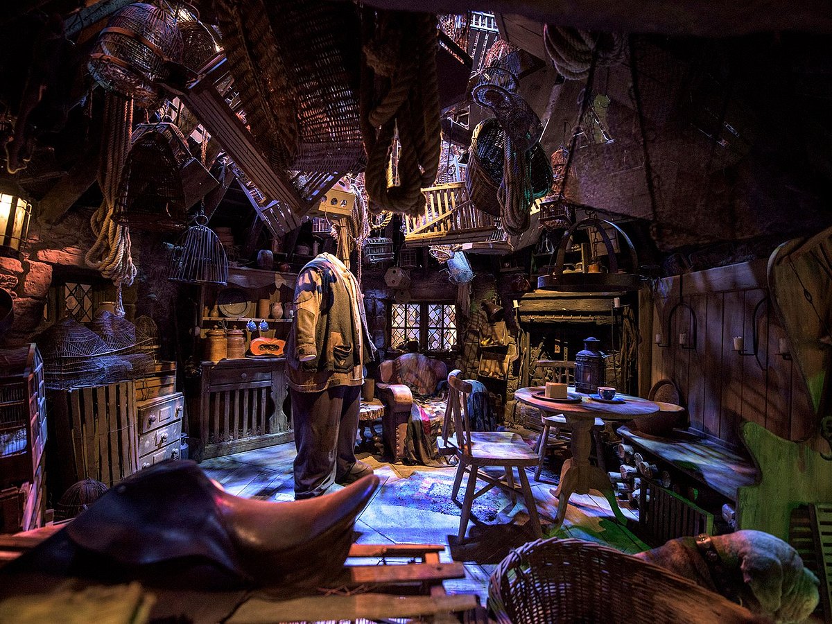 Experience the Harry Potter Studio Tour on a Family Charter Cruise