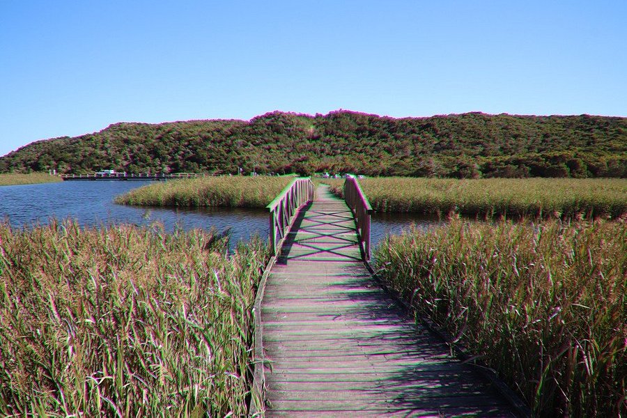 Princetown Wetlands Boardwalk image