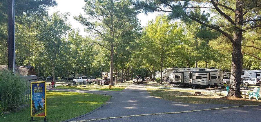 PARIS LANDING KENTUCKY LAKE KOA Updated 2021 Campground Reviews