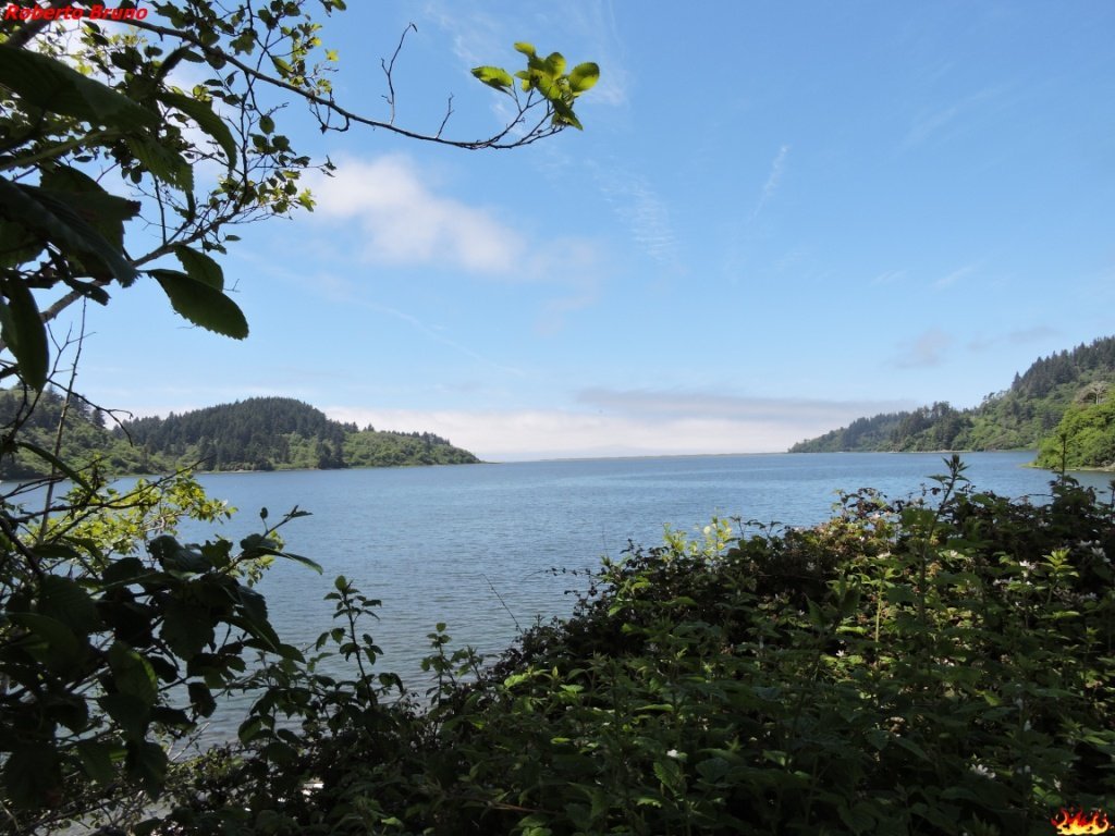 Where the Redwood Coast Meets the Sea: Humboldt Lagoons State Park