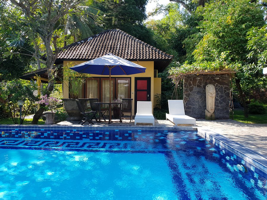 Pool - Picture of Bali au Naturel, Bondalem - Tripadvisor