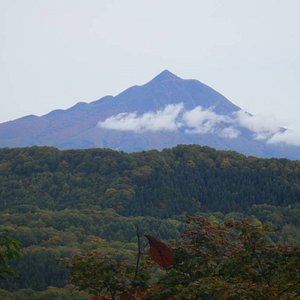 21年 はまなす公園 行く前に 見どころをチェック トリップアドバイザー