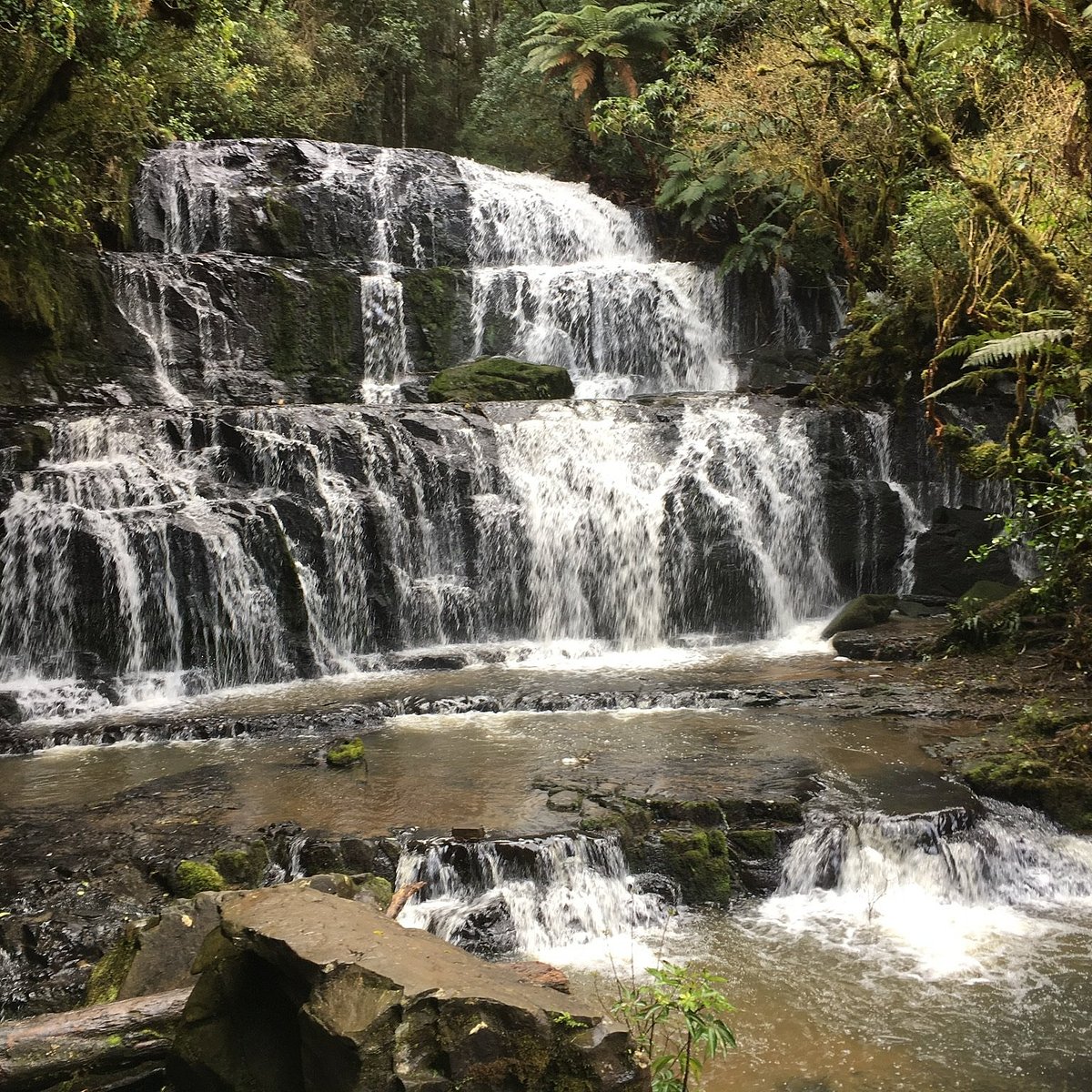 Purakaunui Falls Aktuell Für 2023 Lohnt Es Sich Mit Fotos 1094