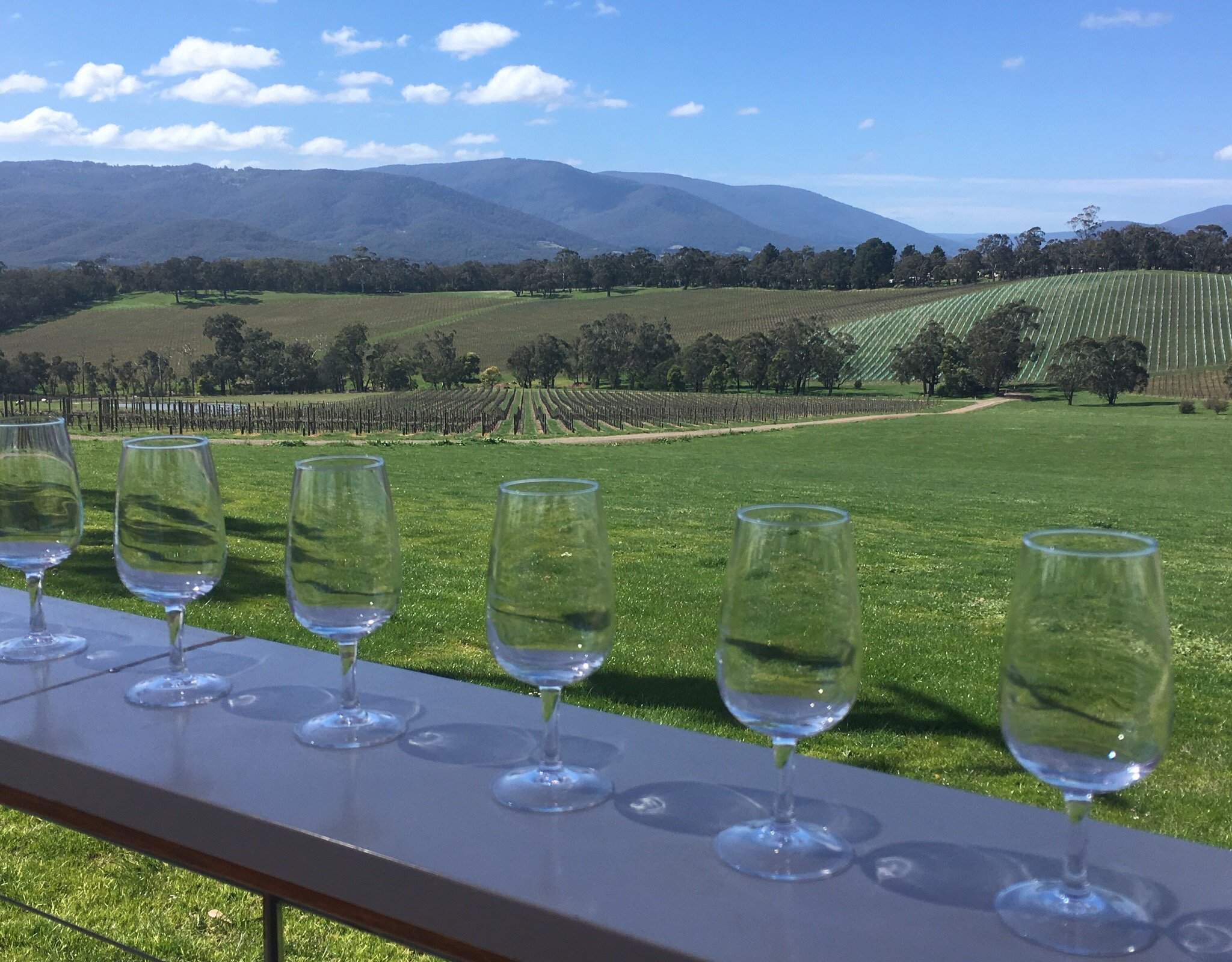 Yarra Valley Wine Tasting Tours - All You Need to Know BEFORE You Go (2024)