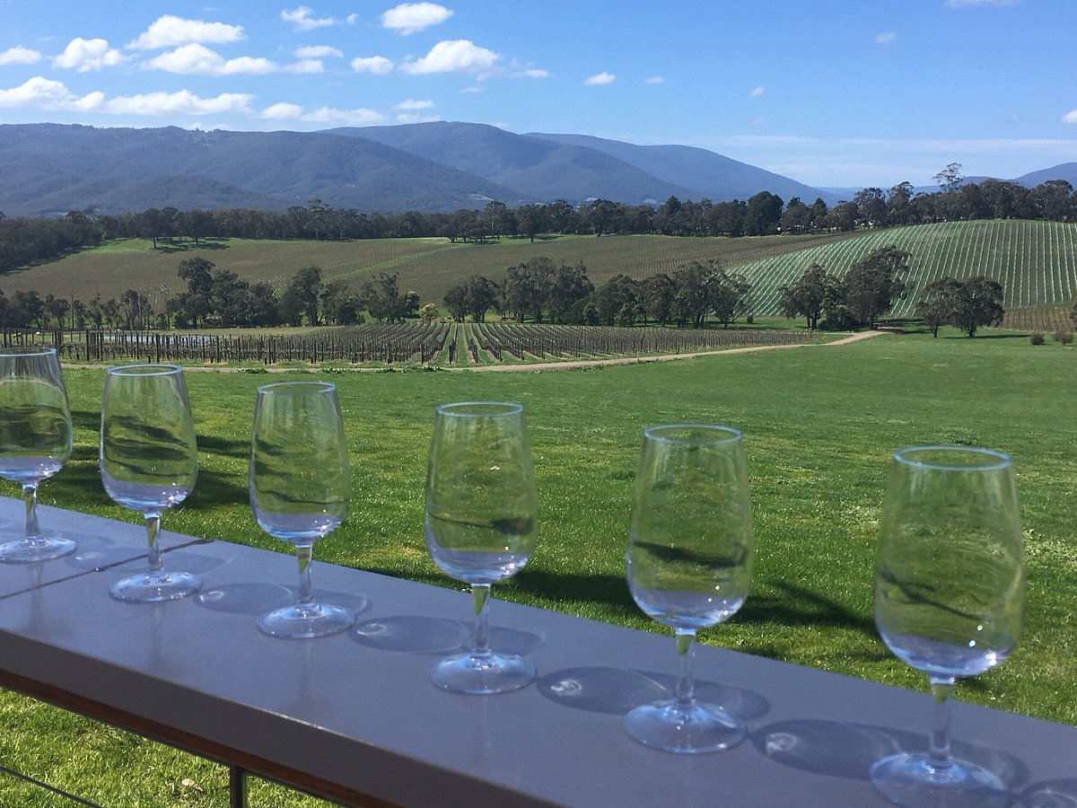 yarra valley wine tasting tours photos