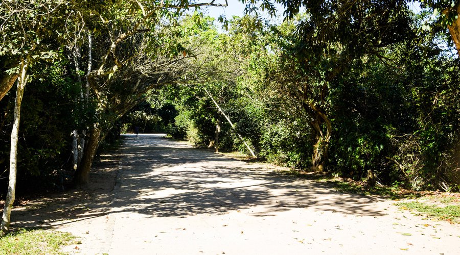 Todos os caminhos levam ao um lindo passeio