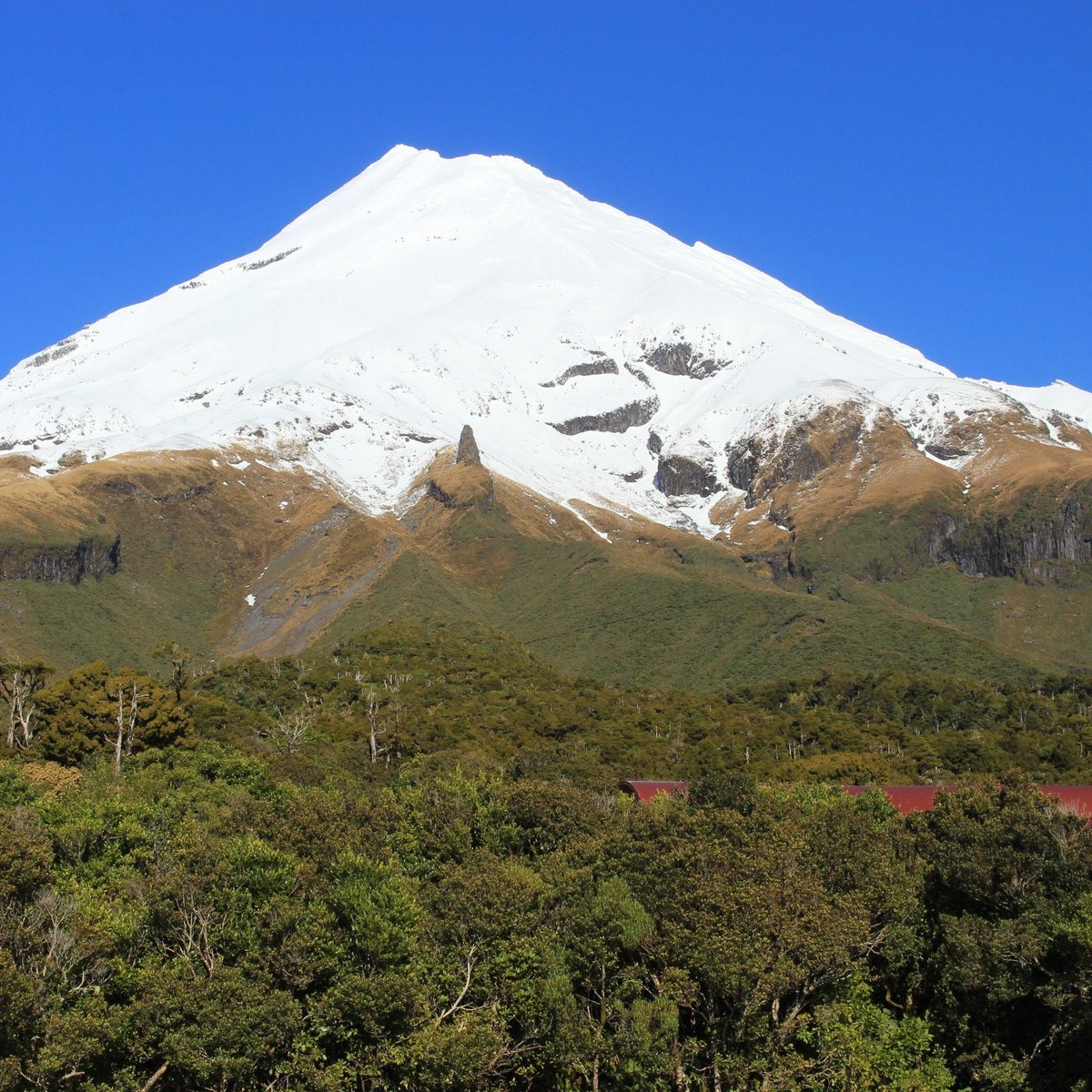 EGMONT NATIONAL PARK VISITOR CENTRE - Qué SABER antes de ir